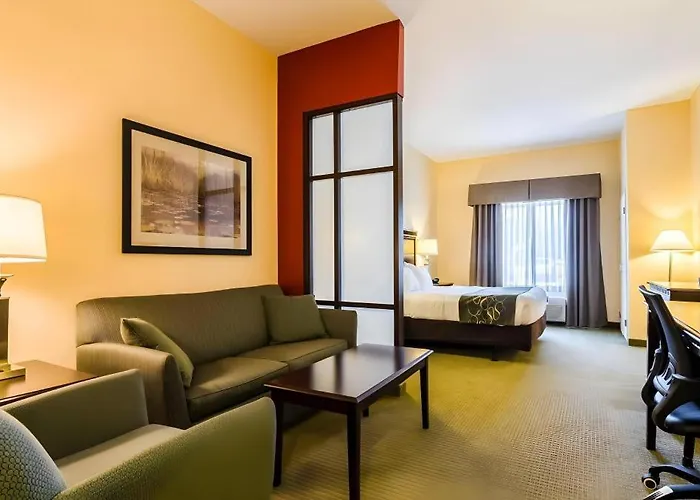 Comfort Suites
